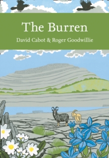 The Burren