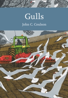 Gulls, Paperback / softback Book Gulls, Paperback / softback Book