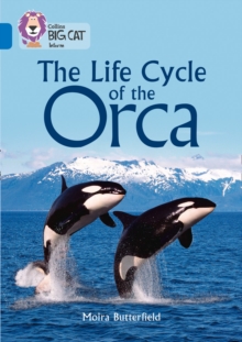 The Life Cycle of the Orca : Band 16/Sapphire