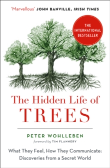 The Hidden Life of Trees : What They Feel, How They Communicate