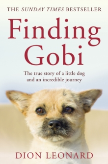 Finding Gobi (Main Edition) : The True Story of a Little Dog and an Incredible Journey