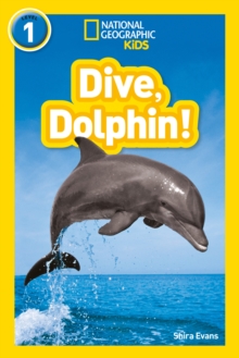 Dive, Dolphin!, Paperback Book Dive, Dolphin!, Paperback Book