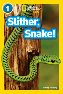 Slither, Snake! : Level 1