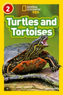 Turtles and Tortoises : Level 2