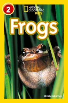 Frogs : Level 2