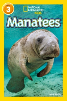 Manatees, Paperback / softback Book Manatees, Paperback / softback Book