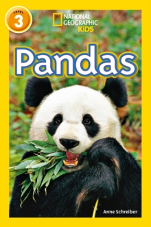 Pandas, Paperback / softback Book Pandas, Paperback / softback Book