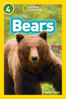 Bears : Level 4