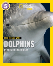 Face to Face with Dolphins : Level 5