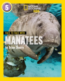 Face to Face with Manatees : Level 5