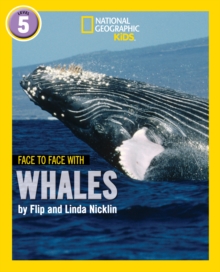 Face to Face with Whales : Level 5