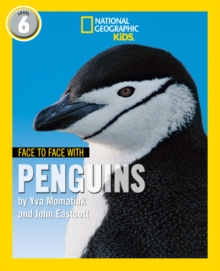 Face To Face With Penguins : Level 6