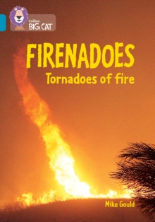 Firenadoes: Tornadoes of fire : Band 13/Topaz