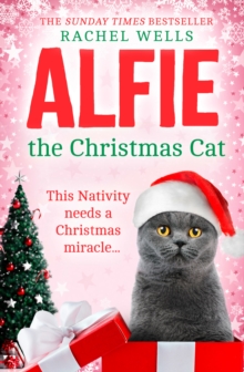 Alfie the Christmas Cat