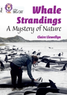 Whale Strandings: A Mystery of Nature : Band 10+/White Plus