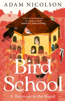 Bird School : A Beginner in the Wood