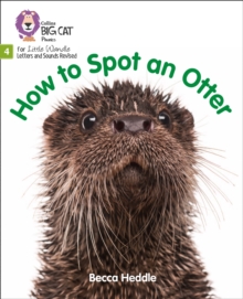 How to Spot an Otter : Phase 4 Set 2