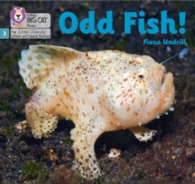 Odd Fish! : Phase 3 Set 1