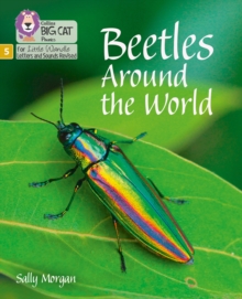 Beetles Around the World : Phase 5 Set 4