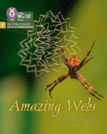 Amazing Webs : Phase 5 Set 2