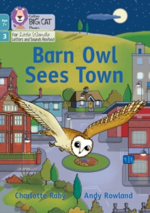 Barn Owl Sees Town : Phase 3 Set 1 Blending Practice