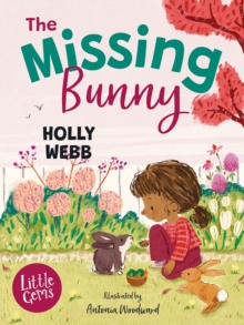 The Missing Bunny