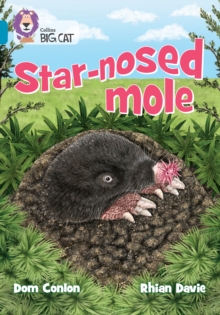 Star-nosed Mole : Band 13/Topaz