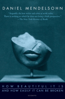 How Beautiful It Is And How Easily It Can Be Broken : Essays