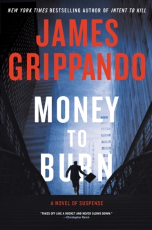 Money to Burn : A Novel of Suspense