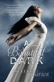A Beautiful Dark, Paperback / softback Book A Beautiful Dark, Paperback / softback Book