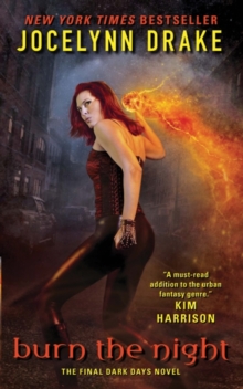 Burn the Night : The Final Dark Days Novel