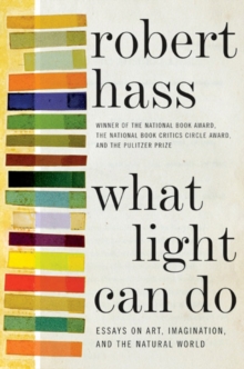 What Light Can Do : Essays on Art, Imagination, and the Natural World