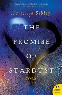 The Promise of Stardust : A Novel, Paperback / softback Book The Promise of Stardust : A Novel, Paperback / softback Book