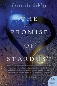 The Promise of Stardust : A Novel