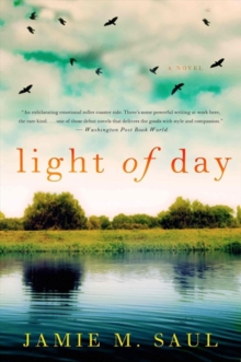 Light of Day : A Novel