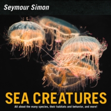 Sea Creatures, Paperback / softback Book Sea Creatures, Paperback / softback Book