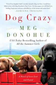 Dog Crazy : A Novel of Love Lost and Found, Paperback / softback Book Dog Crazy : A Novel of Love Lost and Found, Paperback / softback Book