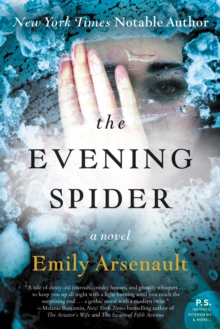 The Evening Spider : A Novel