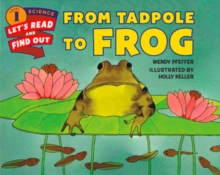From Tadpole to Frog, Paperback / softback Book From Tadpole to Frog, Paperback / softback Book