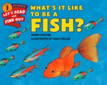 What's It Like to Be a Fish?, Paperback / softback Book What's It Like to Be a Fish?, Paperback / softback Book