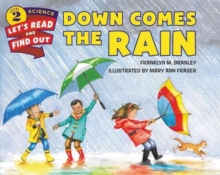 Down Comes the Rain, Paperback / softback Book Down Comes the Rain, Paperback / softback Book