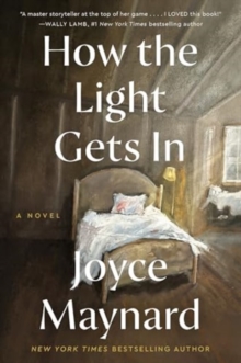 How the Light Gets In : A Novel