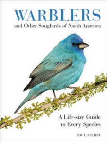 Warblers and Other Songbirds of North America : A Life-size Guide to Every Species, Hardback Book Warblers and Other Songbirds of North America : A Life-size Guide to Every Species, Hardback Book