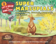 Super Marsupials: Kangaroos, Koalas, Wombats, and More, Paperback / softback Book Super Marsupials: Kangaroos, Koalas, Wombats, and More, Paperback / softback Book