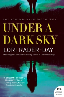 Under a Dark Sky : A Novel