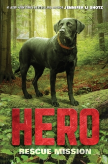 Hero: Rescue Mission, Paperback / softback Book Hero: Rescue Mission, Paperback / softback Book