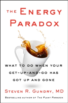 The Energy Paradox : What to Do When Your Get-Up-and-Go Has Got Up and Gone