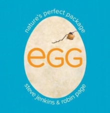 Egg: Nature's Perfect Package