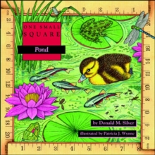 Pond, Paperback / softback Book Pond, Paperback / softback Book