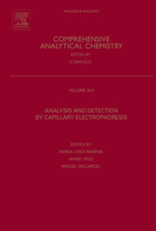 Analysis and Detection by Capillary Electrophoresis